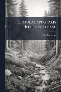 bokomslag Formulae Spiritalis Intellegentiae