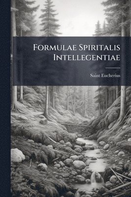 Saint Eucherius - Formulae Spiritalis Intellegentiae, Häftad