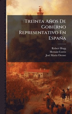 bokomslag Treinta AÃ±os De Gobierno Representativo En EspaÃ±a