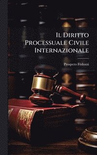 bokomslag Il Diritto Processuale Civile Internazionale