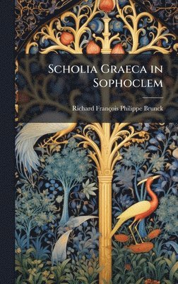 bokomslag Scholia Graeca in Sophoclem