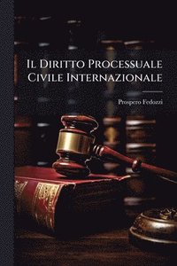 bokomslag Il Diritto Processuale Civile Internazionale