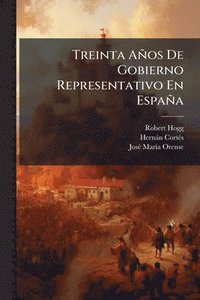 bokomslag Treinta Años De Gobierno Representativo En España