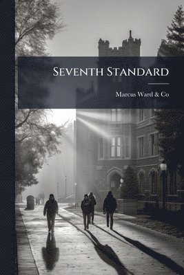 bokomslag Seventh Standard