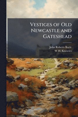 bokomslag Vestiges of Old Newcastle and Gateshead