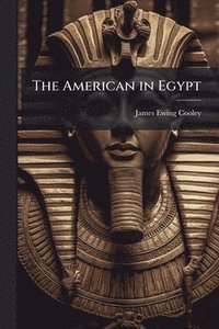 bokomslag American in Egypt