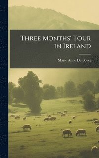 bokomslag Three Months' Tour in Ireland