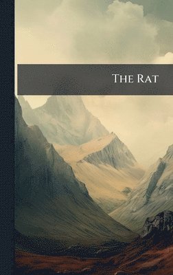bokomslag Rat