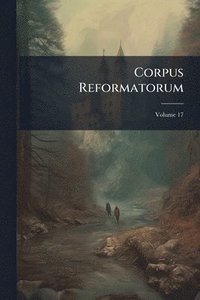 bokomslag Corpus Reformatorum