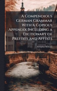 bokomslag Compendious German Grammar With a Copious Appendix Including a Dictionary of Prefixes and Affixes