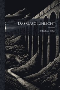 bokomslag GasglÃ1/4hlicht