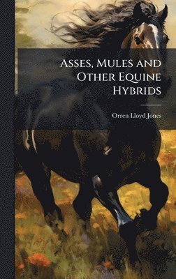 bokomslag Asses, Mules and Other Equine Hybrids