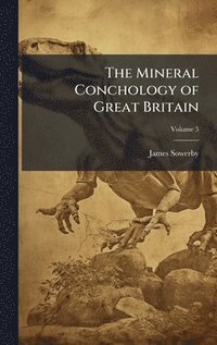 bokomslag The Mineral Conchology of Great Britain
