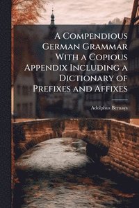 bokomslag Compendious German Grammar With a Copious Appendix Including a Dictionary of Prefixes and Affixes