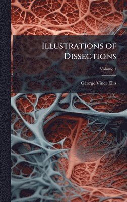 bokomslag Illustrations of Dissections