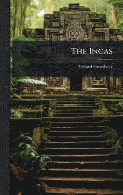 bokomslag Incas