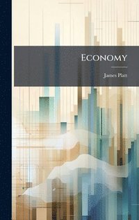 bokomslag Economy