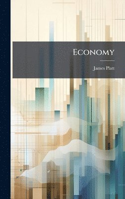bokomslag Economy
