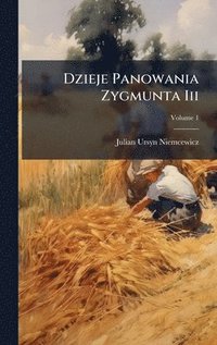 bokomslag Dzieje Panowania Zygmunta Iii