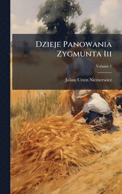 bokomslag Dzieje Panowania Zygmunta Iii