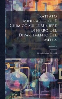bokomslag Trattato Mineralogico E Chimico Sulle Miniere Di Ferro Del Dipartimento Del Mella
