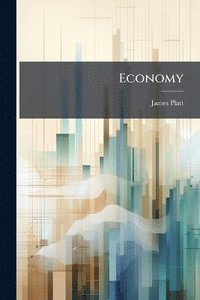 bokomslag Economy