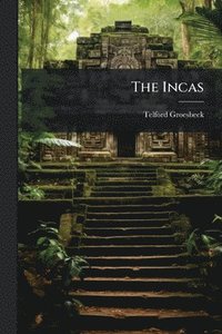 bokomslag Incas