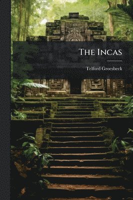 bokomslag Incas