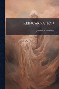 bokomslag Reincarnation