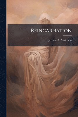 bokomslag Reincarnation