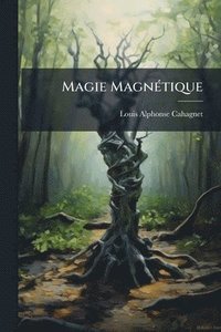 bokomslag Magie MagnÃ(c)tique