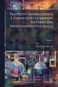 bokomslag Trattato Mineralogico E Chimico Sulle Miniere Di Ferro Del Dipartimento Del Mella