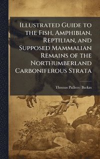 bokomslag Illustrated Guide to the Fish, Amphibian, Reptilian, and Supposed Mammalian Remains of the Northumberland Carboniferous Strata