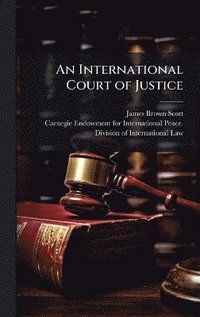 bokomslag International Court of Justice