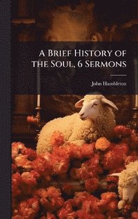 bokomslag Brief History of the Soul, 6 Sermons