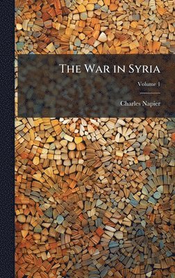 bokomslag War in Syria
