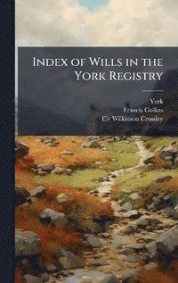 bokomslag Index of Wills in the York Registry