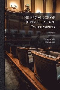 bokomslag Province of Jurisprudence Determined