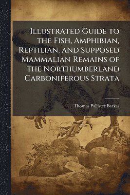 bokomslag Illustrated Guide to the Fish, Amphibian, Reptilian, and Supposed Mammalian Remains of the Northumberland Carboniferous Strata