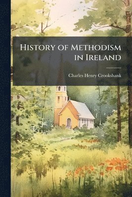 bokomslag History of Methodism in Ireland
