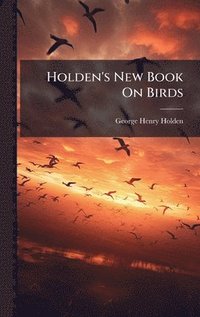 bokomslag Holden's New Book On Birds