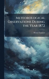 bokomslag Meteorological Observations During the Year 1872
