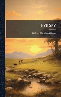 bokomslag Eye Spy