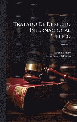 bokomslag Tratado De Derecho Internacional PÃ°blico