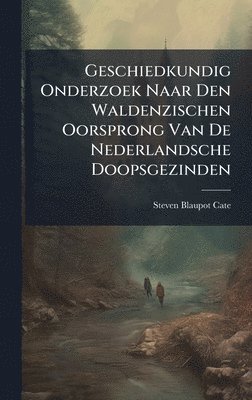 bokomslag Geschiedkundig Onderzoek Naar Den Waldenzischen Oorsprong Van De Nederlandsche Doopsgezinden
