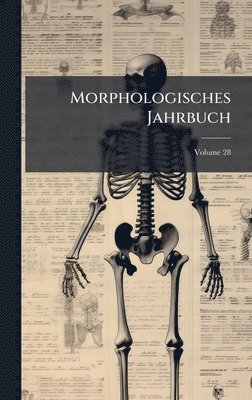 bokomslag Morphologisches Jahrbuch
