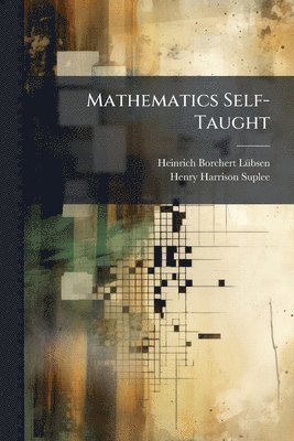 bokomslag Mathematics Self-Taught