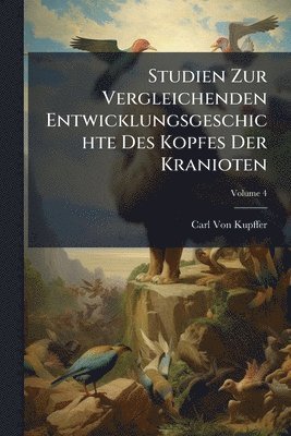 bokomslag Studien Zur Vergleichenden Entwicklungsgeschichte Des Kopfes Der Kranioten