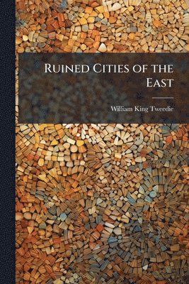 bokomslag Ruined Cities of the East