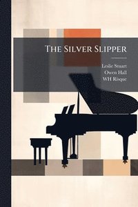 bokomslag The Silver Slipper